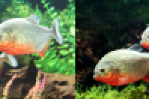 Цветокоррекция, убрать лишнее