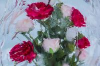 img2229027.png