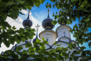 Сквозь листву