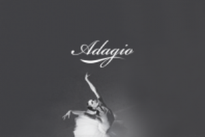 Корпоративный сайт Adagio