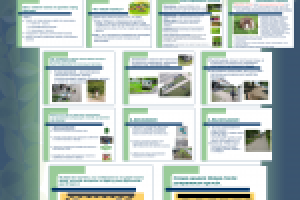 Презентация/стенд