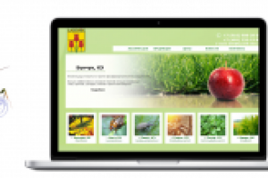 Сайт под ключ