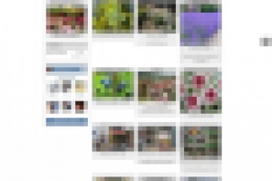 Татьянин сад