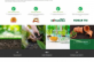 Грунты для розсады