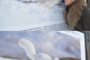 Небольшой ретушь