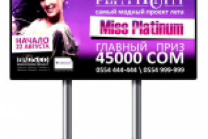 Platinum - Мисс Платинум