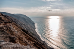 Работа 3065137