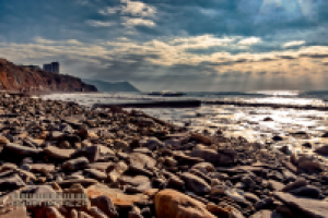 Работа 3065136