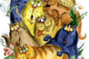 букет котов