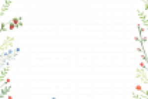 Иллюстрация для чайной карты кафе "3 Этаж".