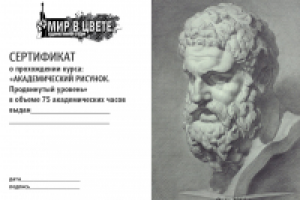 Сертификат о прохождении курса.