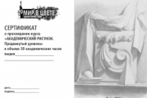 сертификат о прохождении курса "Академический рисунок"