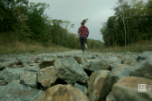 Проект proсушка