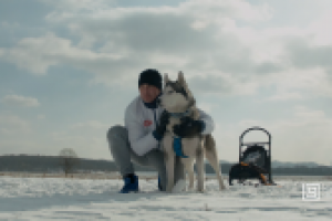 Ездовой спорт