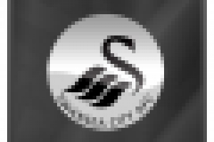 Аватар сообщества болельщиков "Суонси-Сити"