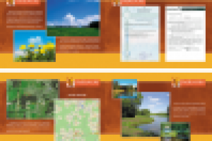 Буклет А4 8 полос