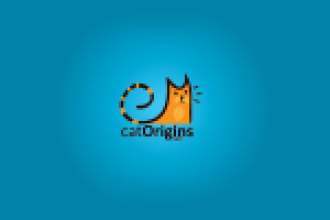 Cat Origins