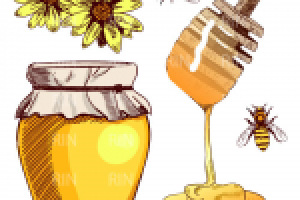 Эскизы, мёд