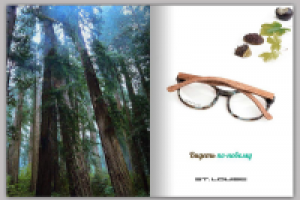 Работа 3010204