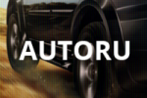 AutoRu - один из крупнейших рынков Белорусии / 2016