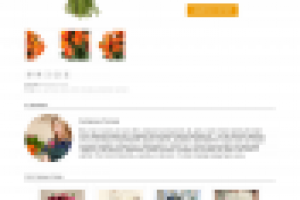 Работа 2736836