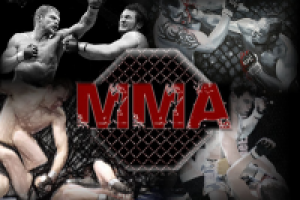 Чемпион России по MMA