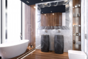 Аппартаменты. Санузел. Москва.