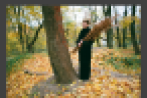 Работа 2962737