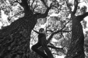 Работа 2073621