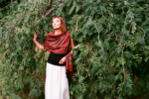 Работа 2073566