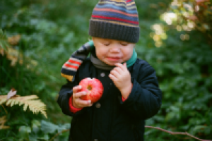 Работа 2073533