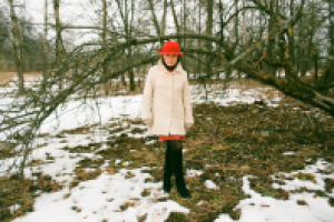 Работа 2073508