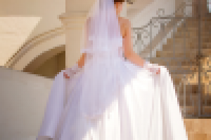 Работа 3054023