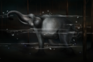 Все слоны попадают в рай