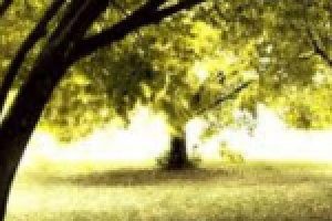 Spring / App/ Game music