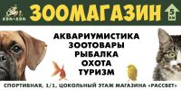 img3054522.png