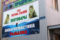 img3054521.png
