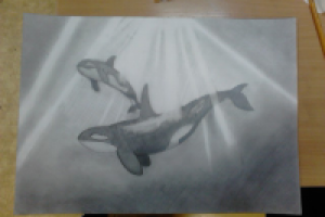 Рисунок (киты)