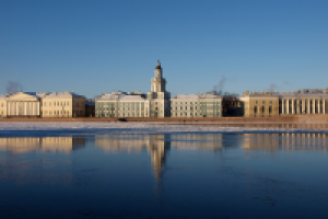 Кунсткамера