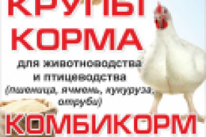 банер Крупы