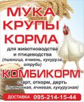 img2905354.png