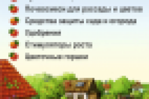 Еврофлаер Дачник