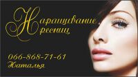 img2905199.png