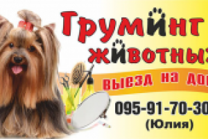 Визитка груминг