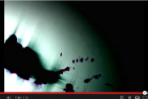 Видео клип (Внимание ненормативная лексика!)