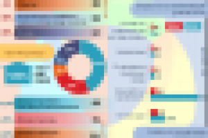 Инфографика для ИАИ ПРОВЭД