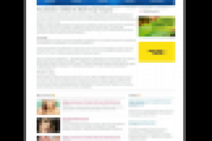 Организация концертов