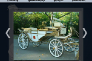 для фирмы "Пегас"