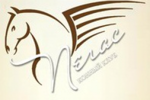 для фирмы "Пегас"