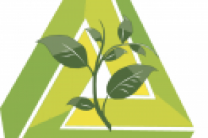 Логотип "Рожденнные жить"